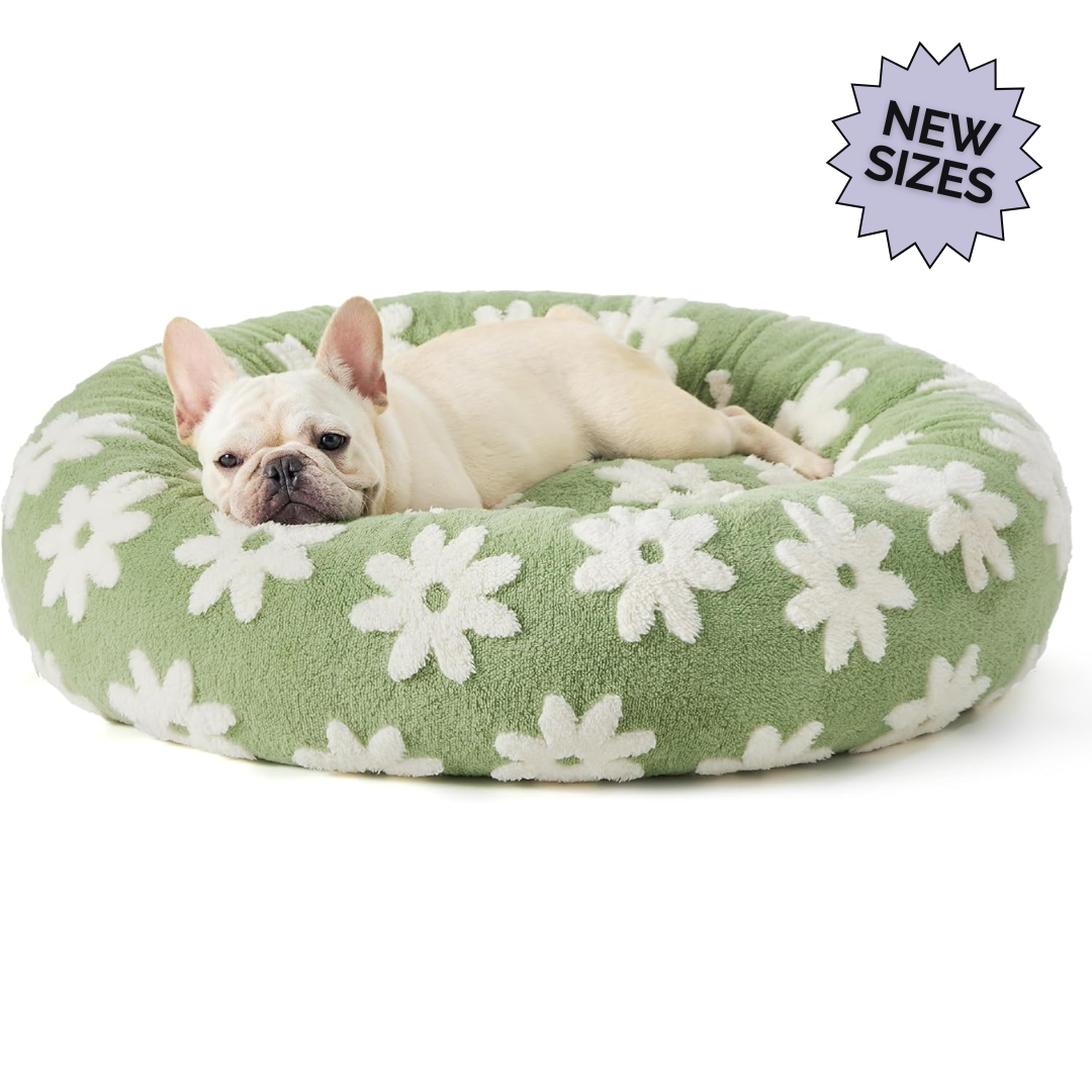 Calming Donut Bed
